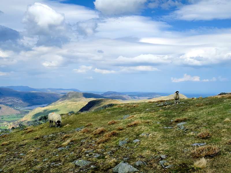 walks in the lake district, hikes in the lake district