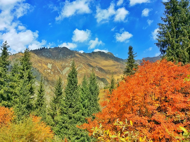 The fall colours are spectacular on this mountain range in Kazakhstan.