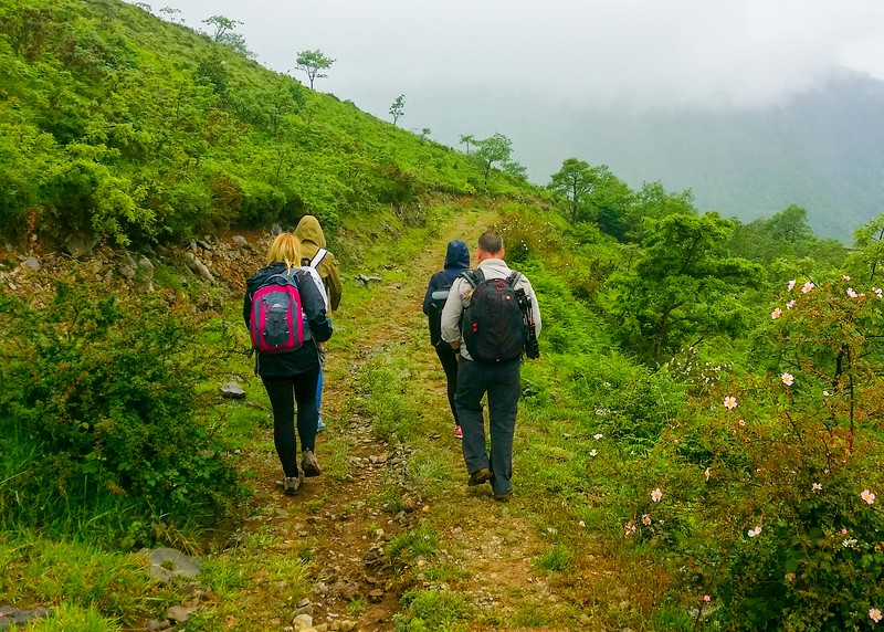 Walking a short section of the Camino Lebaniego in Cantabria.