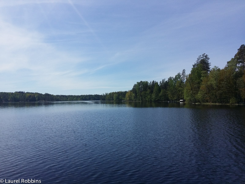 One of the Saimaa ringed seals favourite hangouts on Lake Saimaa in Savonlinna, Finland.