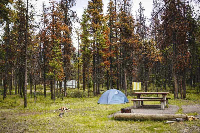 Camping is a great way to experience Jasper National Park