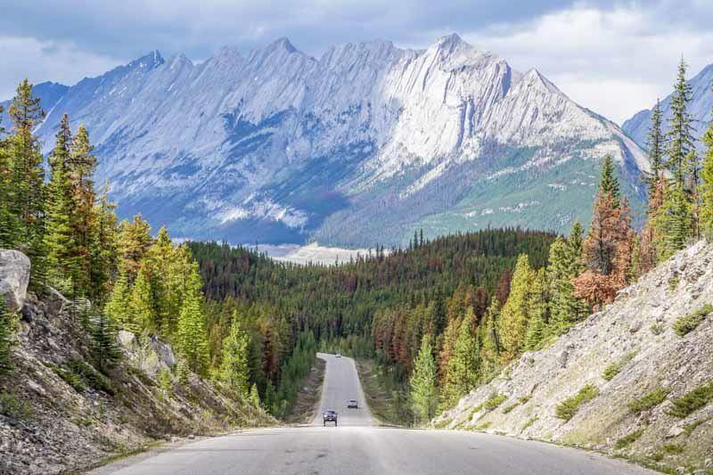 Jasper is the perfect travel destination all year round offering many things to do no matter the weather