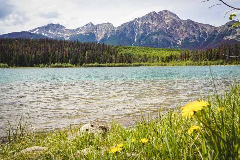 There are so many things to do in Jasper, all of them offer scenic beauty 