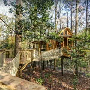 The Treehouse Escape - Treehouse rentals in Georgia