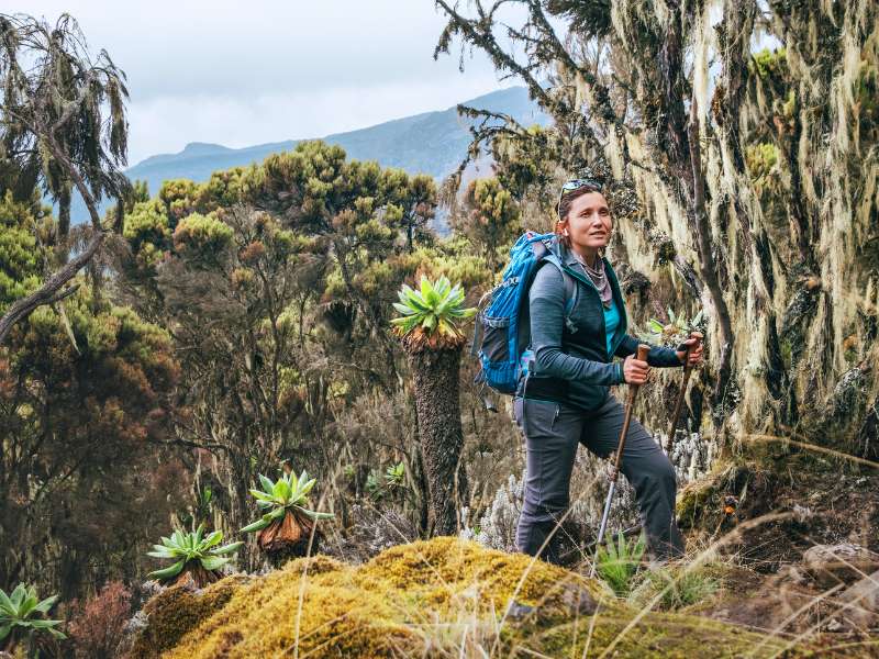 woman with hiking backpack trekking the Umbwe Kilimanjaro route