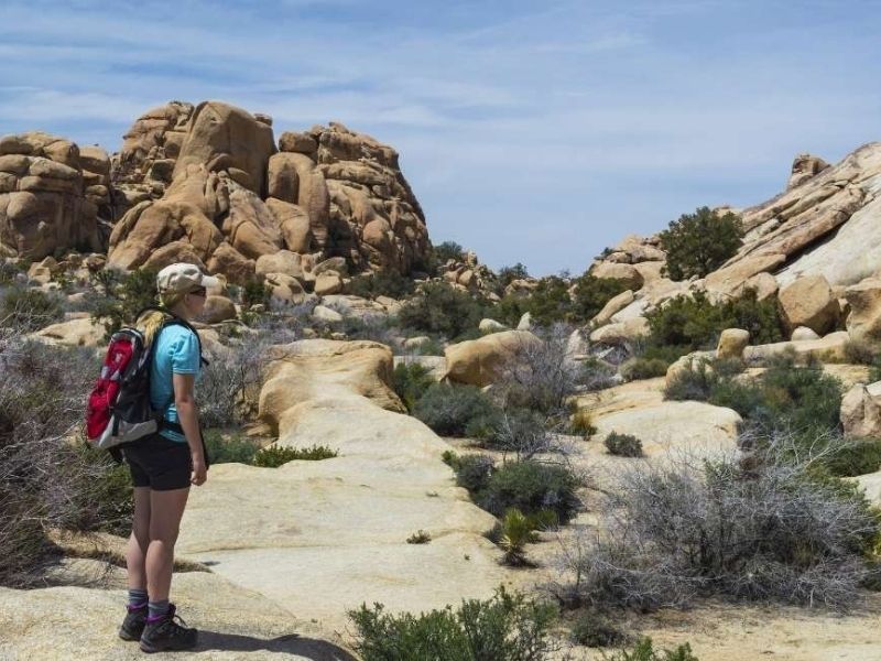 Hiking in Joshua Tree