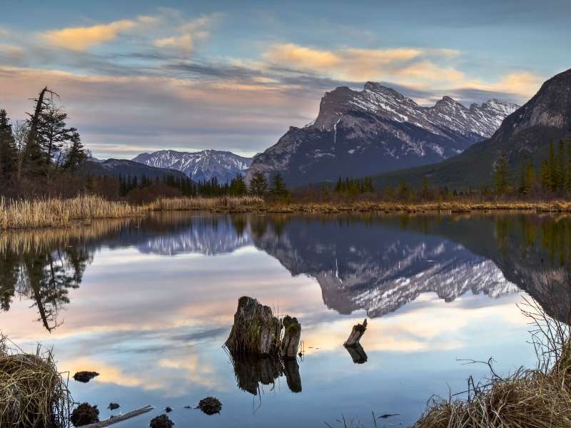 look for wildlife at Vermilion Lakes