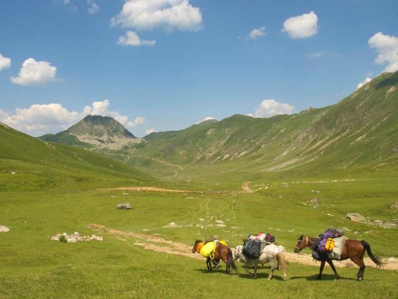 Horses will help carry your gear on your Via Dinarica Hiking Tour