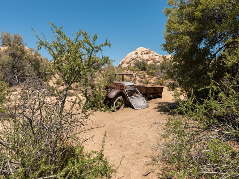 Wall street mill is a moderate two mile out and back hike to an old mill site