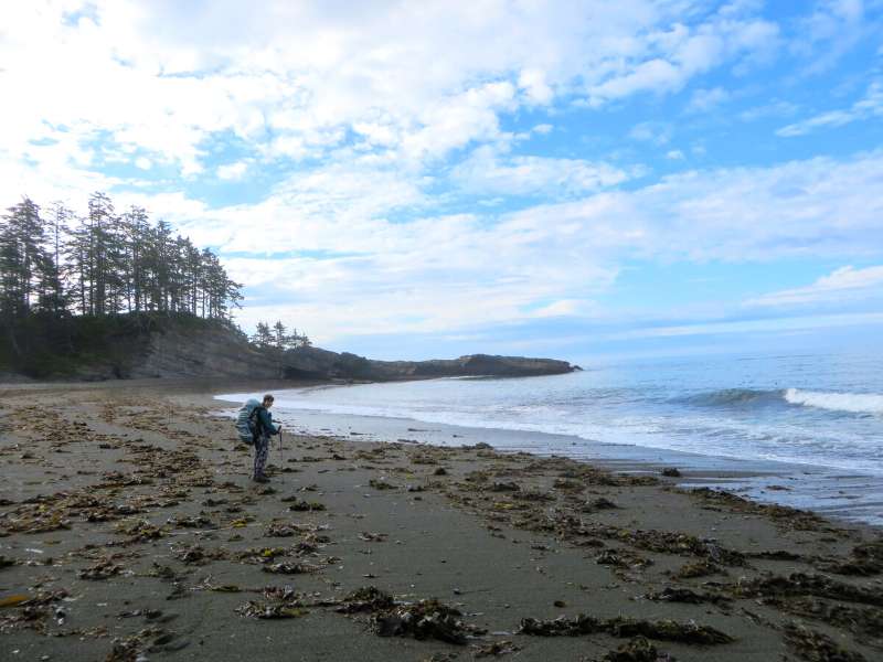 West Coast Trail in Vancouver Island, Canada is one of the best mountain treks in the world