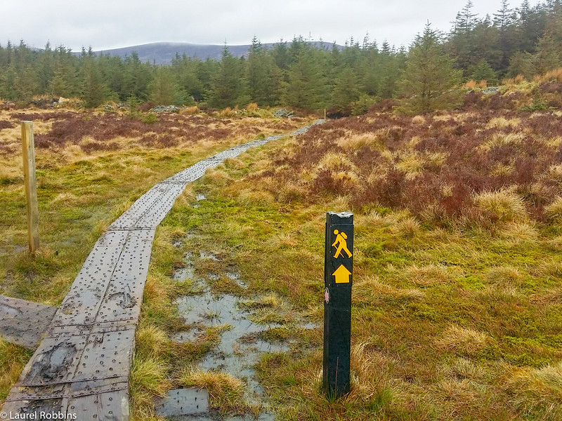 Wicklow Way between Drumgoff to Laragh