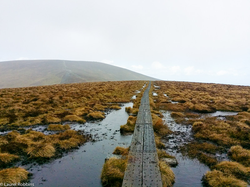 I loved walking over the bog on White Hill in the Wicklow Mountains. Once it stopped raining, the views were incredible!