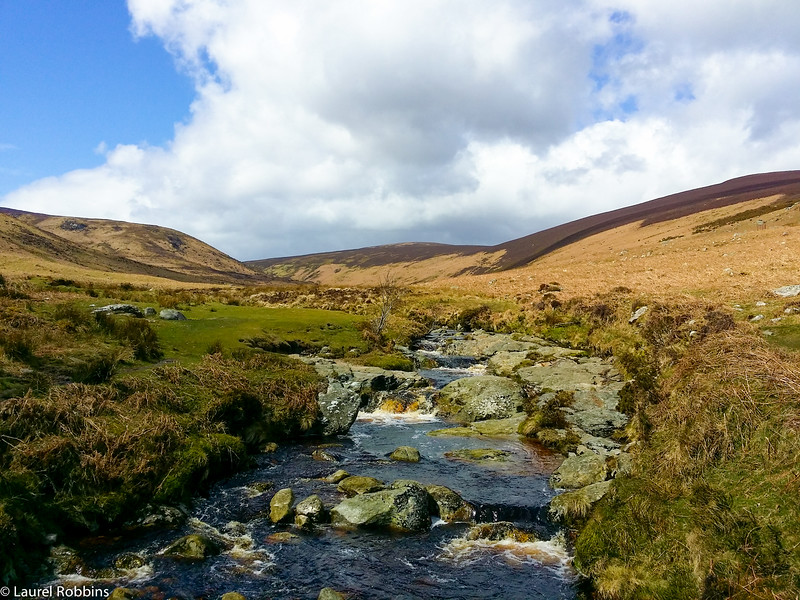 Stream in the Wicklow Mountains