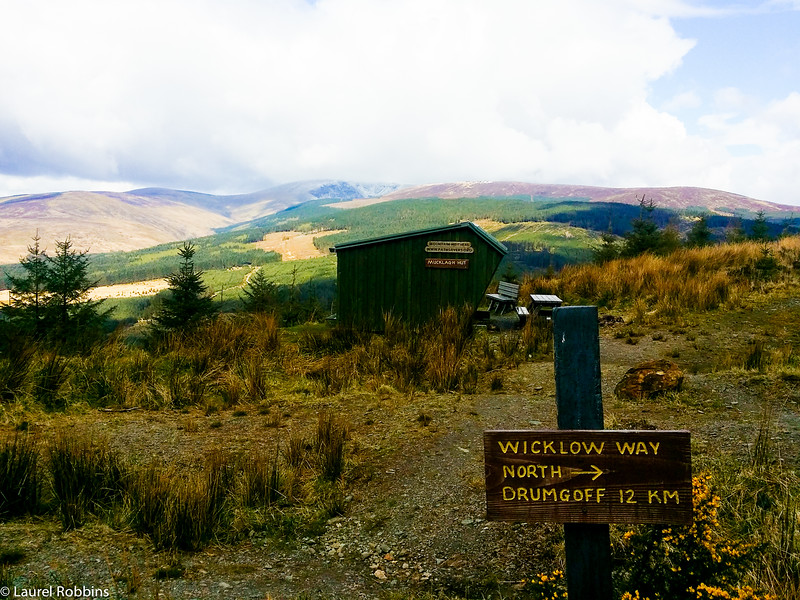 Wicklow Way between Moyne and Drumgoff