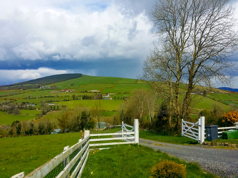 Typical terrain on the southern part of the Wicklow Way in Ireland.