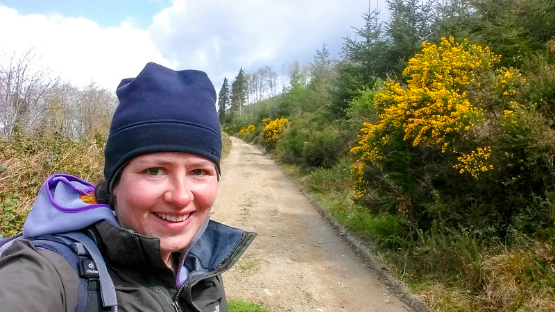 walking the Wicklow Way between Clonegal to Shillelagh