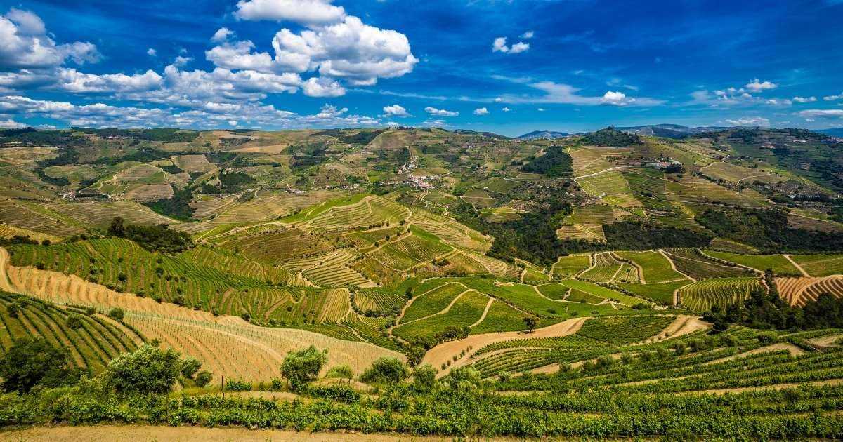 Wine Tours in Europe