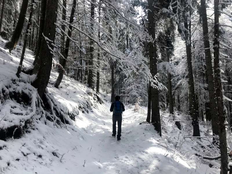 hiking in a snowy trail on winter