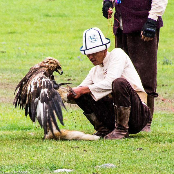 A falconer and his bird after it successfully captures its "prey" at the World Nomad Games.