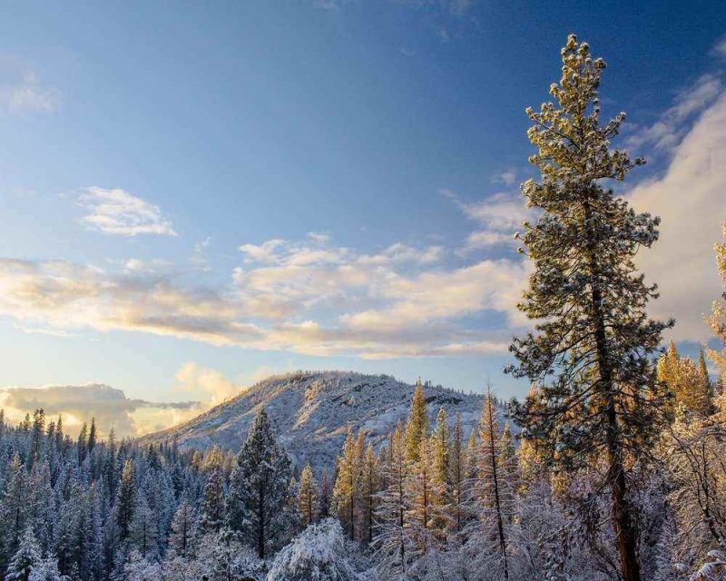 Yosemite National Park in winter is wonderful but not all areas of the park are accessible