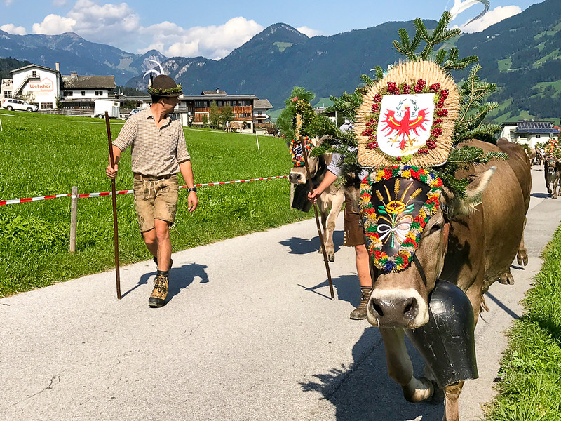 Almabtrieb is held in Zillertal and other alpine areas in Austria, Germany and Switzerland.