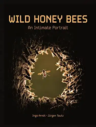 Wild Honey Bees: An Intimate Portrait