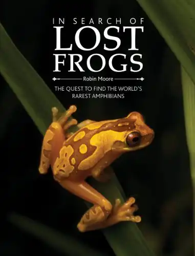 In search of lost frogs: the quest to find the world’s rarest amphibians