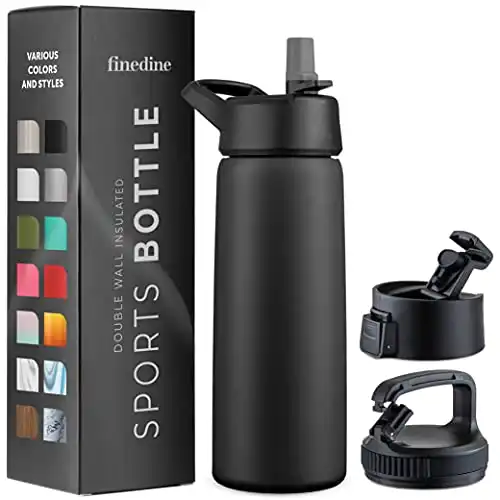 Triple-Insulated Stainless Steel Water Bottle with Straw Lid