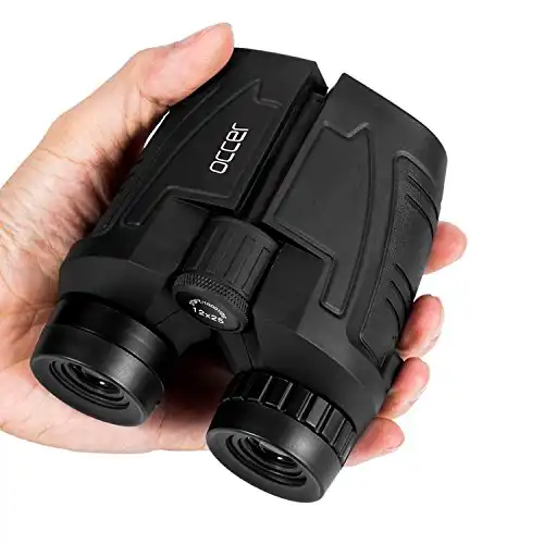 Compact Binoculars for Bird Watching