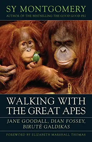 Walking With the Great Apes