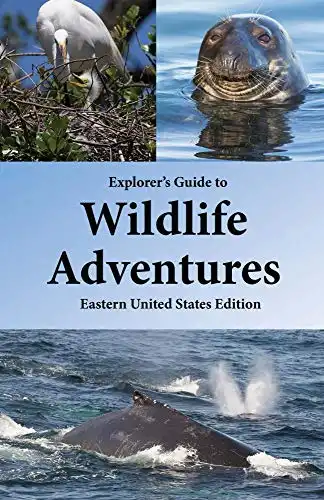 Explorer’s Guide to Wildlife Adventures