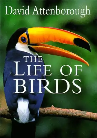 The Life of Birds