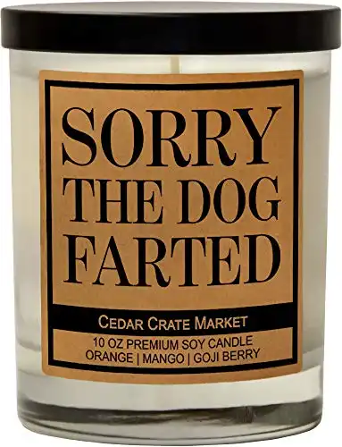 Sorry the Dog Farted Candles