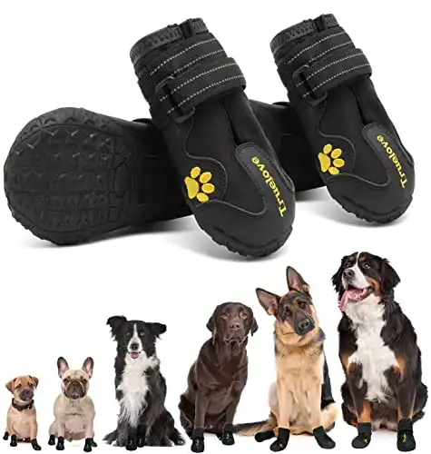 Expawlorer Waterproof